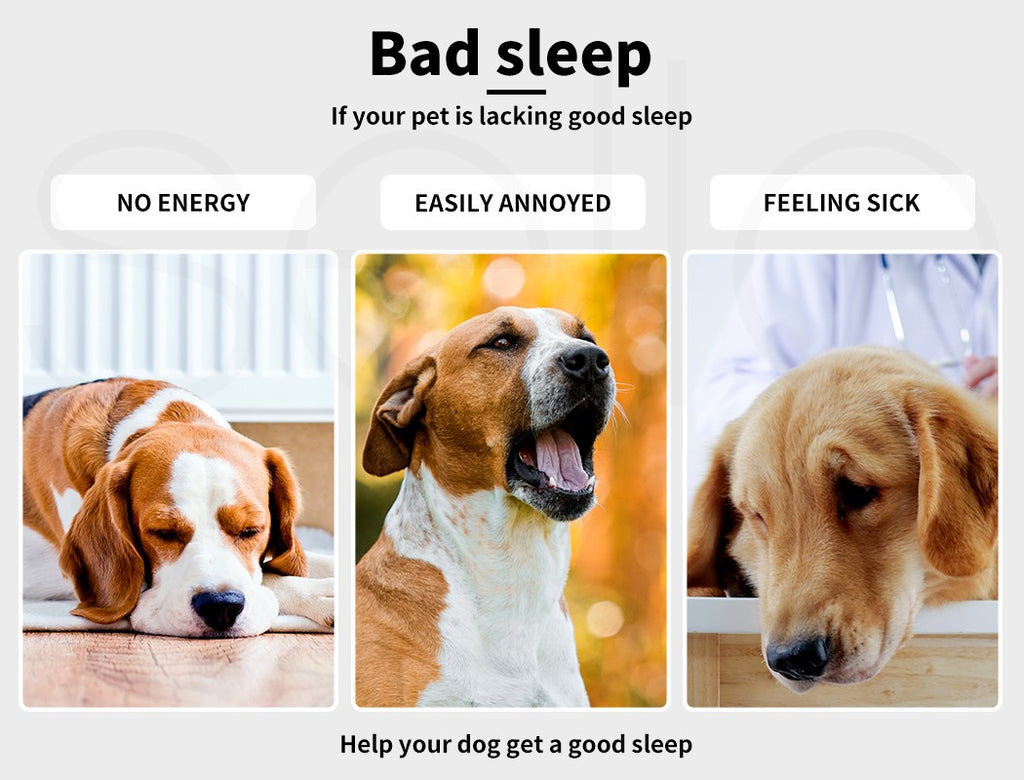 Pawz Dog Calming Bed Warm Soft Plush Thicker round Comfy Sleeping Large Washable