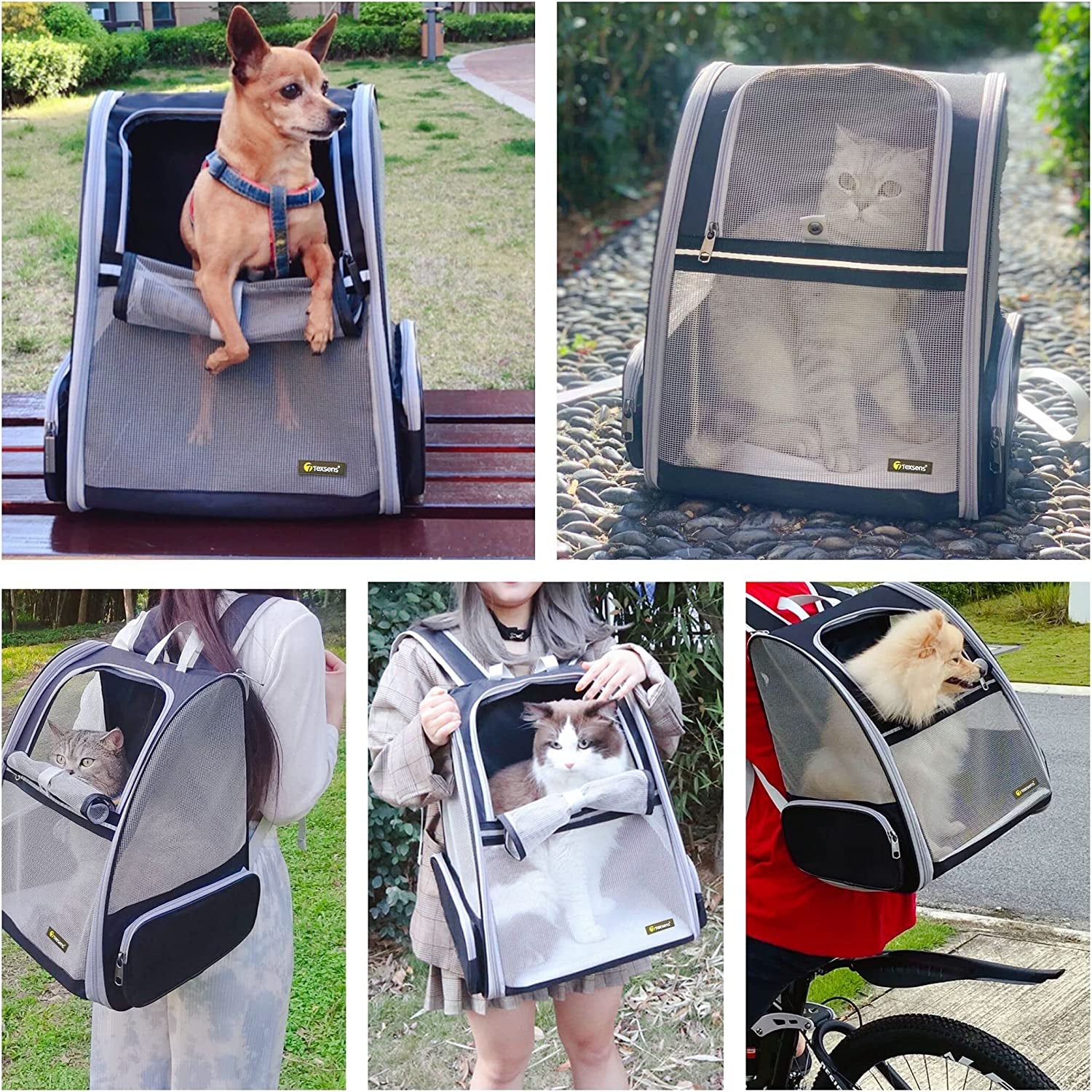 Innovative Traveler Bubble Backpack Pet Carriers for Cats and Dogs (Grey)
