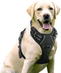 NEW Rabbitgoo Front Range Dog Harness No-Pull Adjustable Outdoor Pet LARGE Size