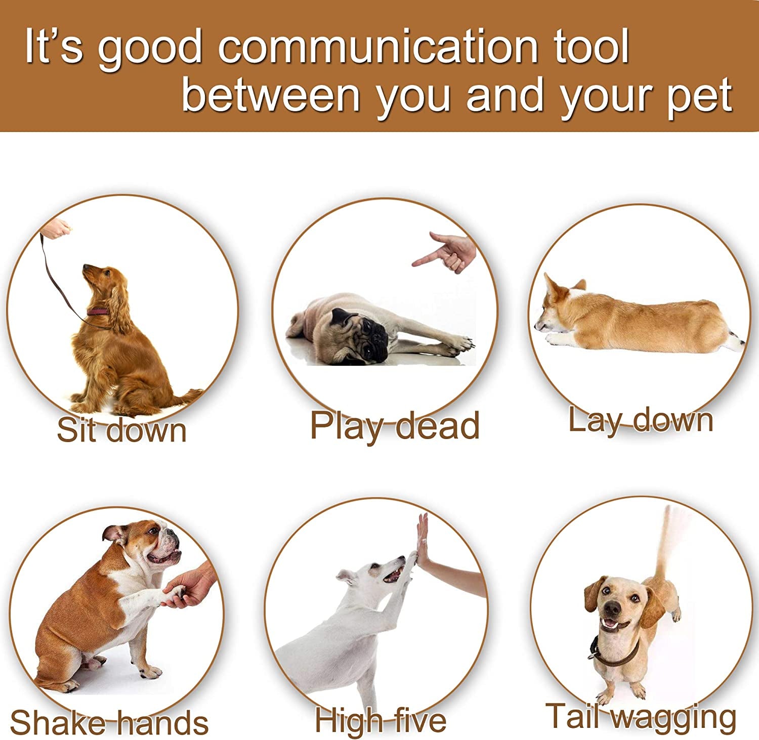 Training Clicker for Pet like Dog Cat Horse Bird Dolphin Puppy with Wrist Strap, 2 Pack