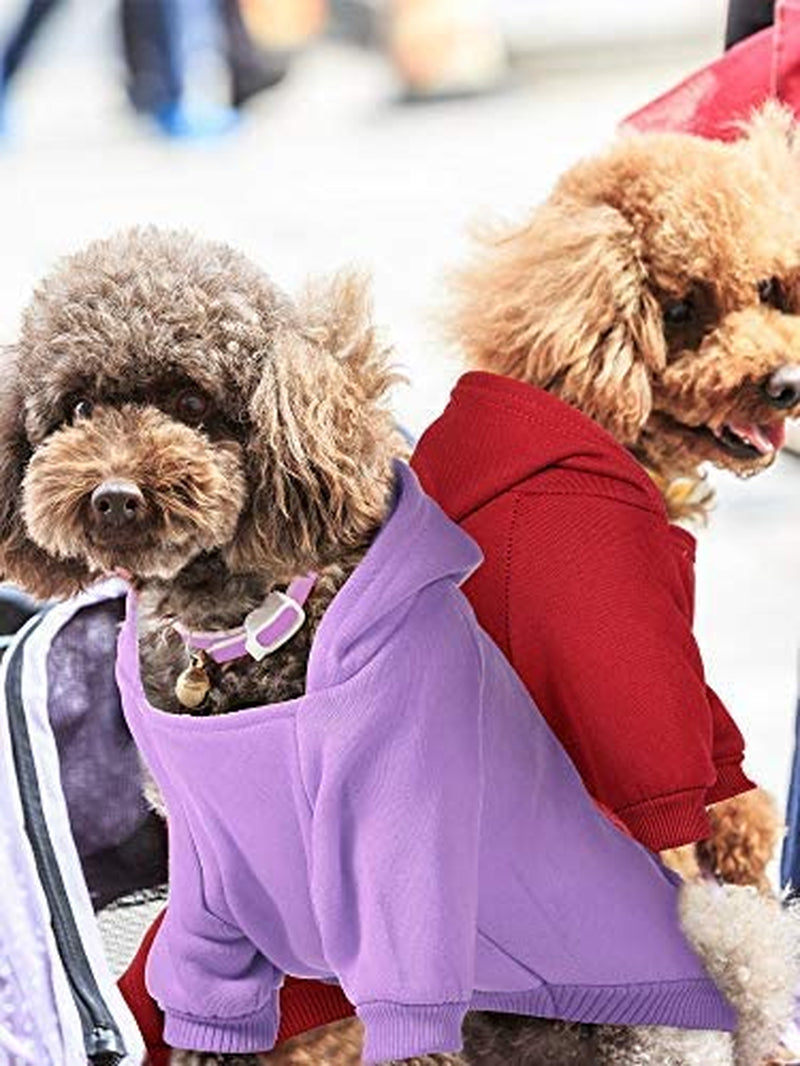4 Pieces XXS Dog Sweaters Dog Hoodie Clothes with Hat for Small Dogs Puppy Pet Winter Warm Hoodies Coat Sweater Shirt Chihuahua Clothes with Pocket